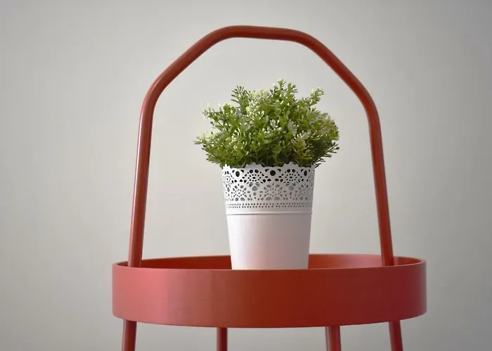 Azores Sea View 아파트 *